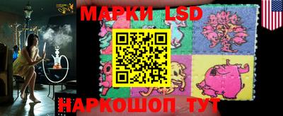стаф Кимры
