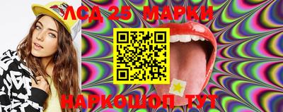 стаф Кимры