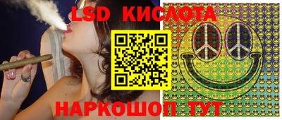 стаф Кимры