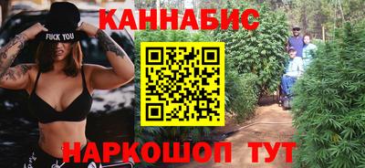 стаф Кимры