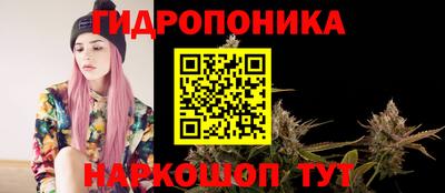 стаф Кимры