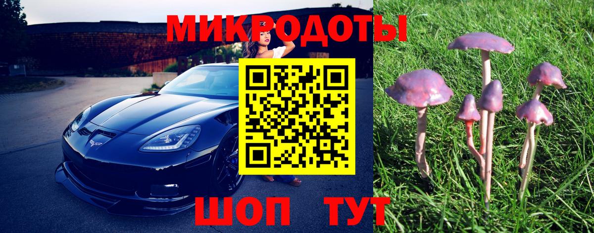 Кисловодск  Галлюциногенные грибы Psilocybine cubensis  Вход с VPN  Галлюциногенные грибы MAGIC MUSHROOMS 