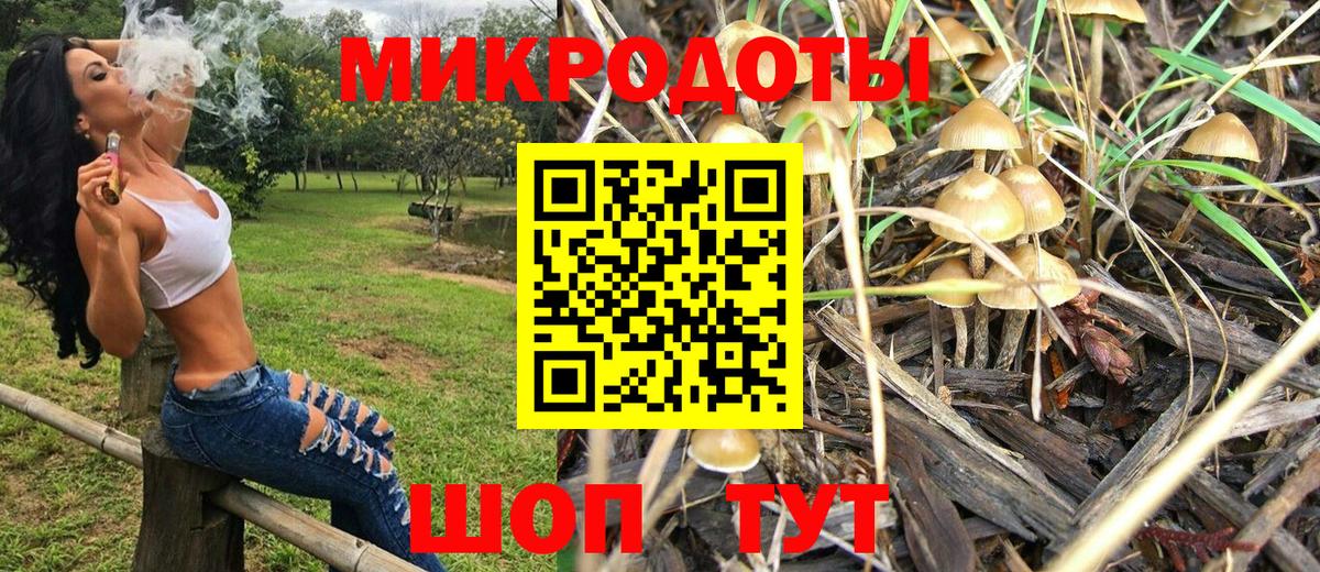 Галлюциногенные грибы ЛСД Кисловодск